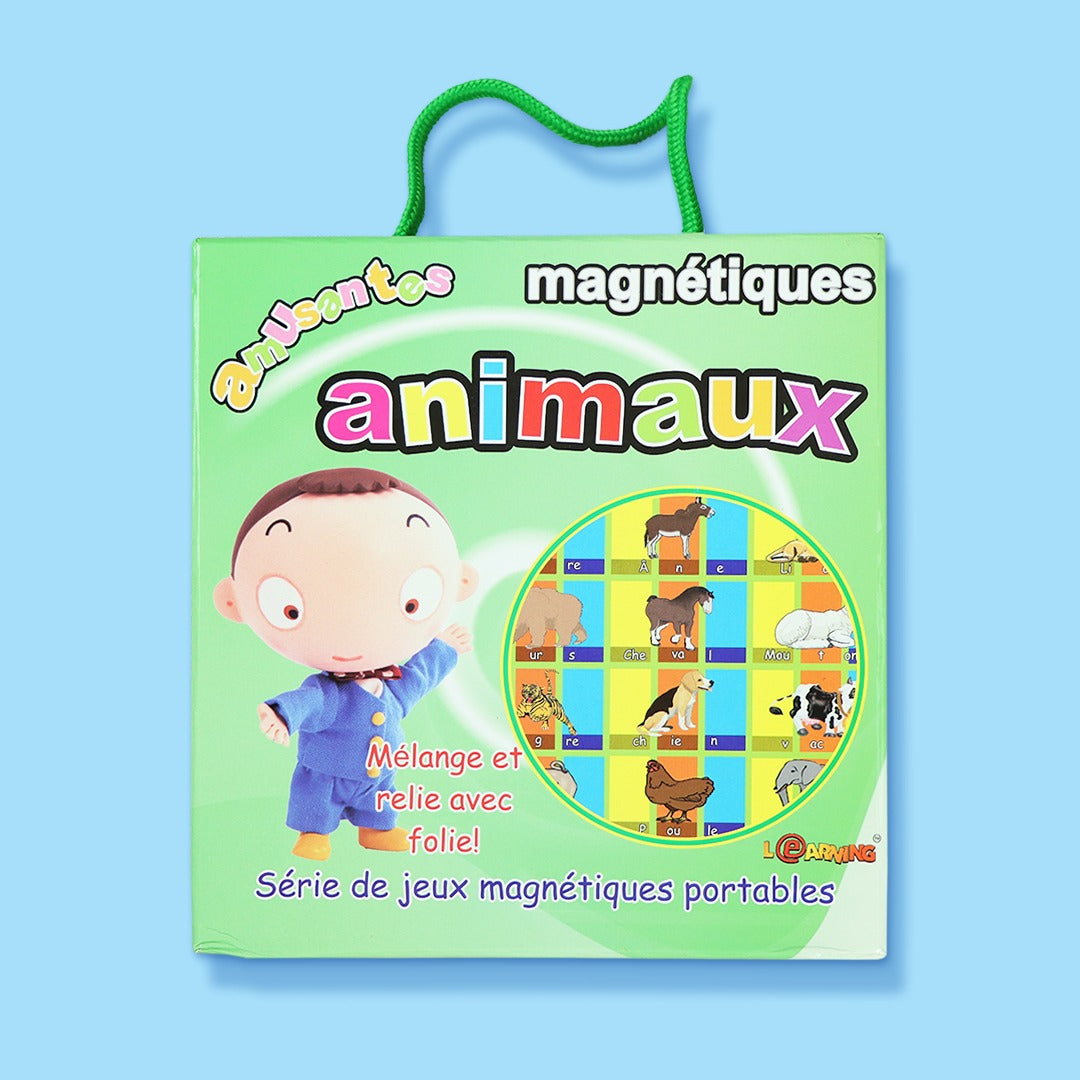 Kit Magnétique Éducatif