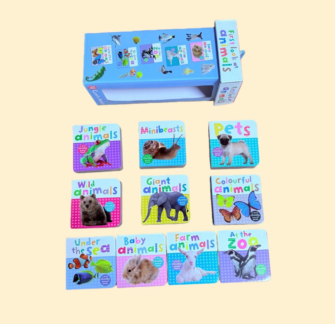 First Learning Mini Books Set