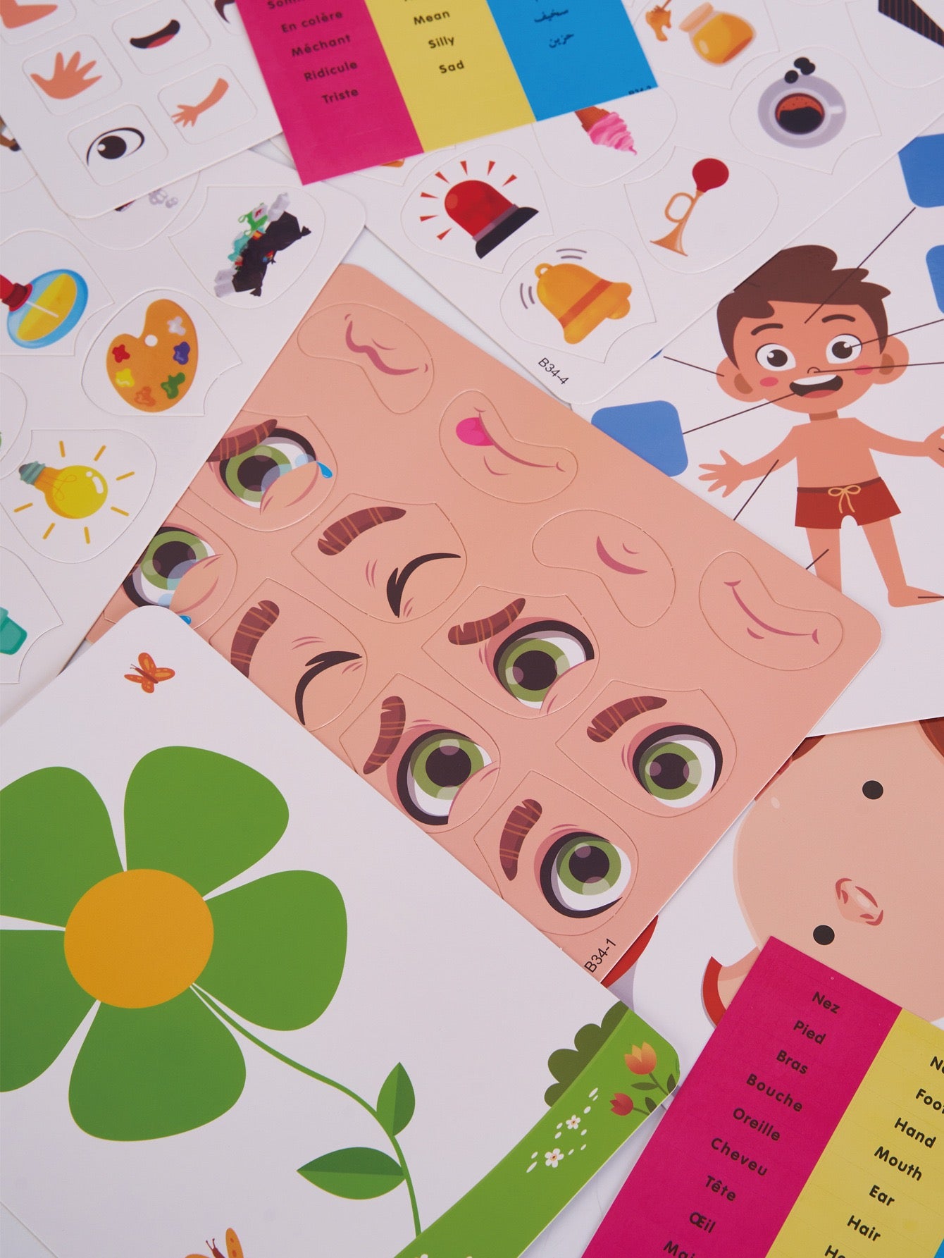 Human Body Montessori Learning Set