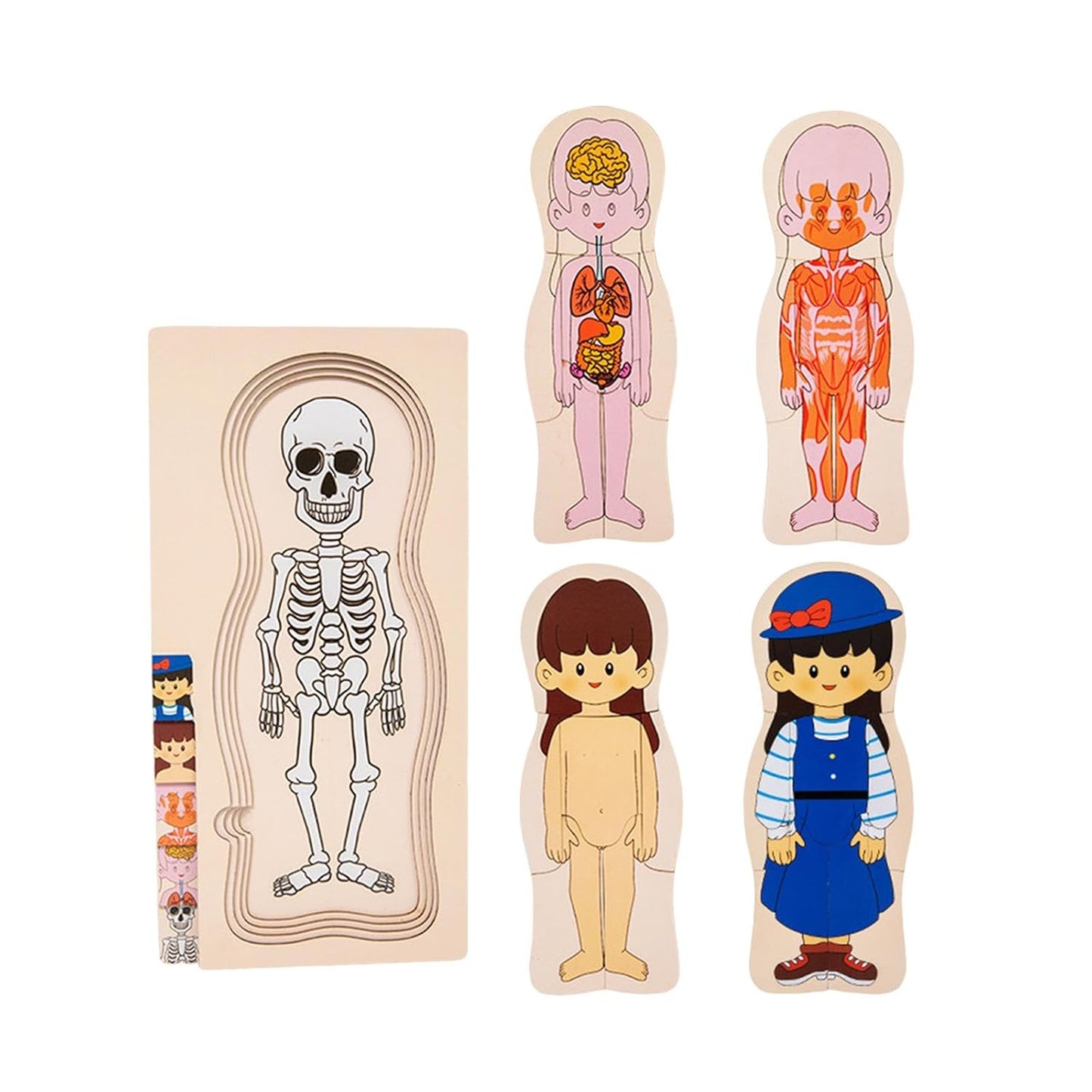 Human Body Puzzle