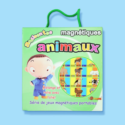 Kit Magnétique Éducatif
