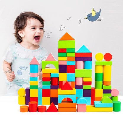 Montessori building blocks (100pcs)
