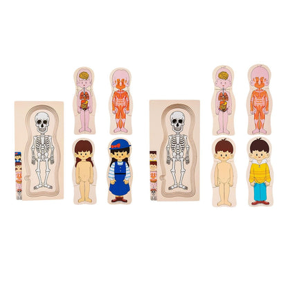 Human Body Puzzle
