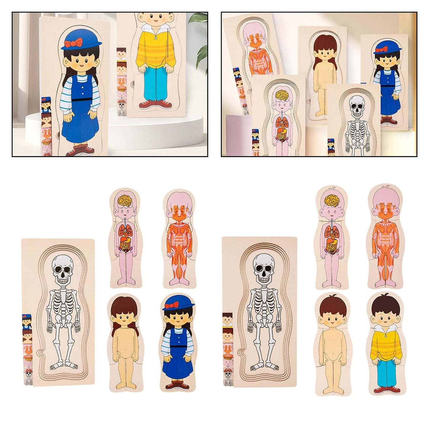 Human Body Puzzle